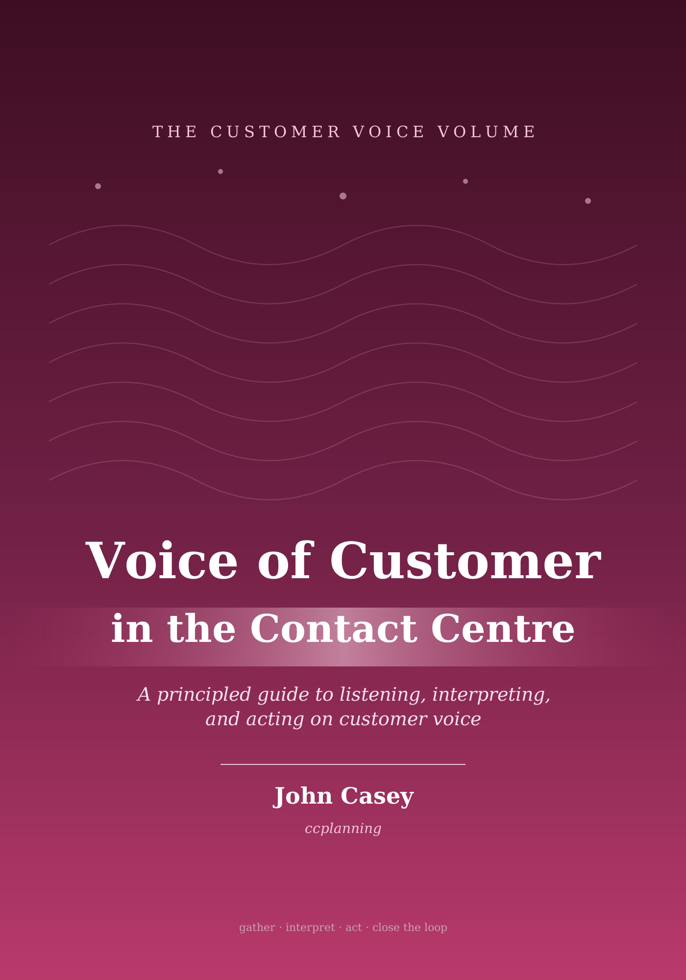 Voice of Customer — cover